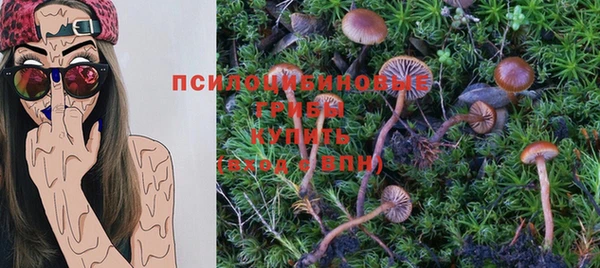 тгк Михайловка