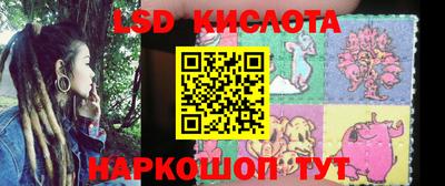 гашик Бийск