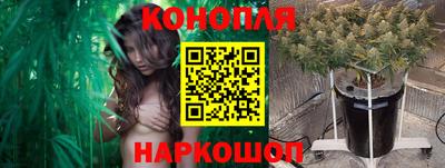 ПСИЛОЦИБИНОВЫЕ ГРИБЫ Беслан
