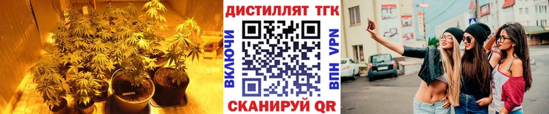 продажа наркотиков  Елизово  это наркотические препараты  ТГК Wax 
