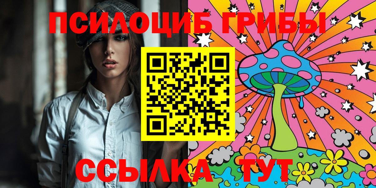 Галлюциногенные грибы ЛСД  Галлюциногенные грибы Magic Shrooms  где продают   Елизово 