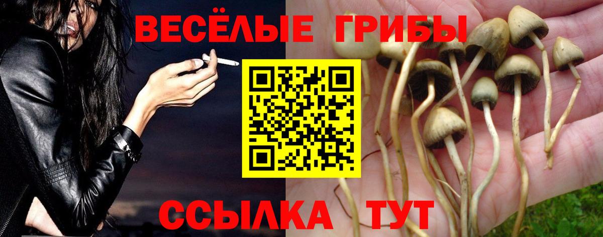 Галлюциногенные грибы прущие грибы Елизово