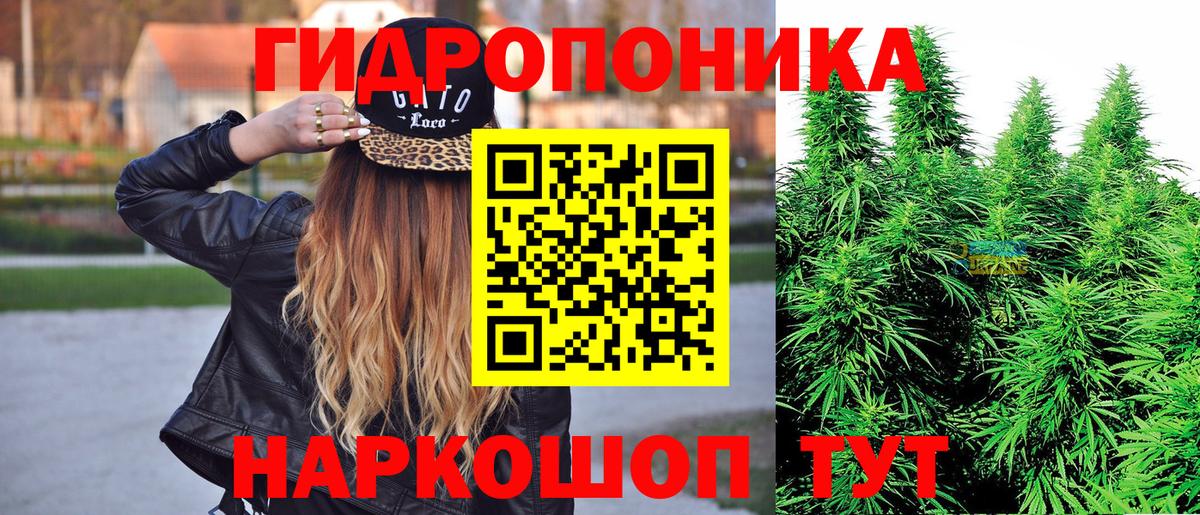 Каннабис планчик  Елизово  Марихуана конопля  МАРИХУАНА White Widow  Конопля конопля 
